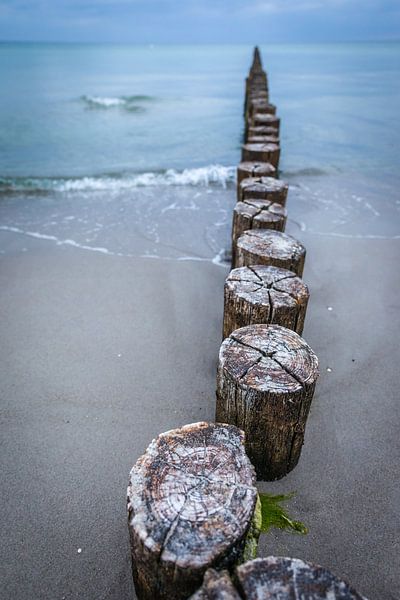 Old groynes on the beach in Zingst by Christian Müringer