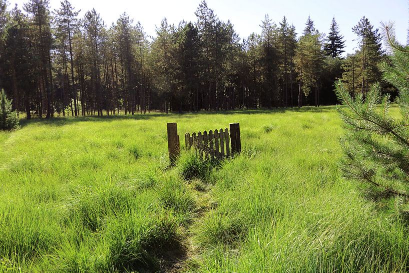 de weg naar ... von Marije du Bateau