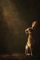 Fineart - Hase im Licht