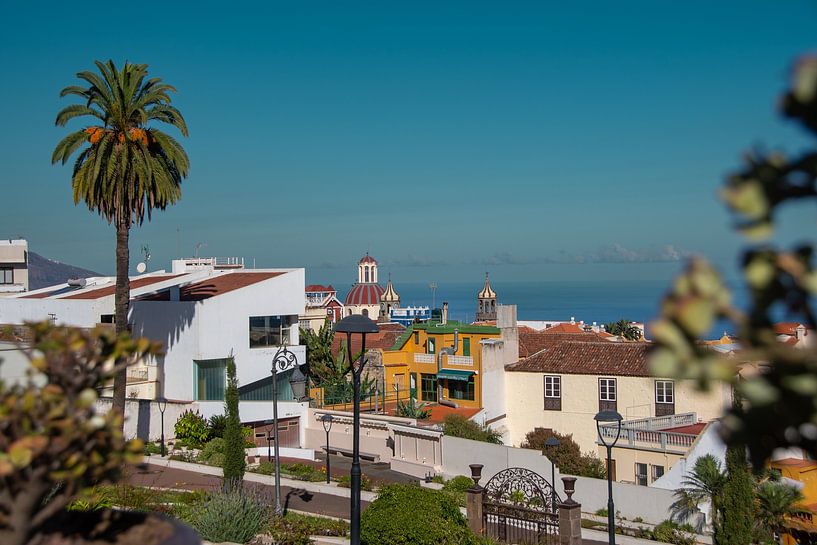 The view from the Victoria Gardens over the town of La Orotava by David Esser