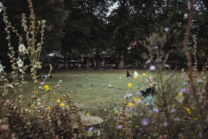 Vista with wild flowers | Travel photography fine art photo print | England, UK by Sanne Dost