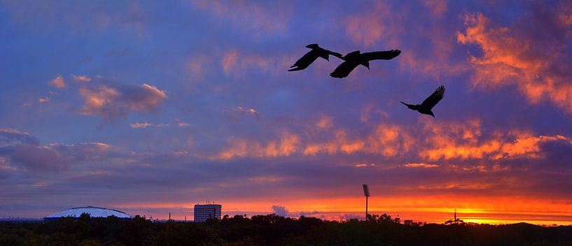 Panorama du coucher de soleil par Edgar Schermaul