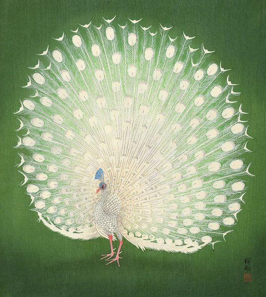 Pfau, Ohara Koson von 1000 Schilderijen