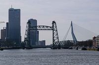 Die Hef- und Erasmusbrücke