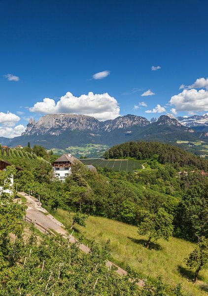 Landscape on the Ritten near Klobenstein, South Tyrol by Christian Müringer