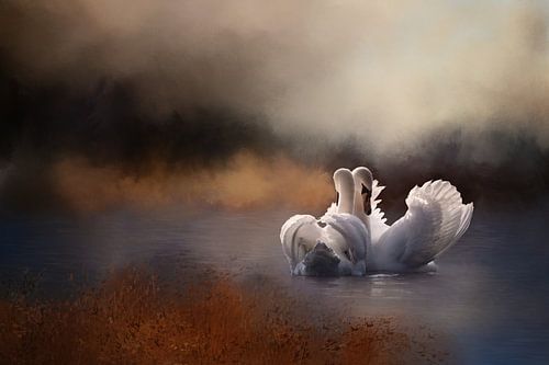 Two Swans In Water by Diana van Tankeren