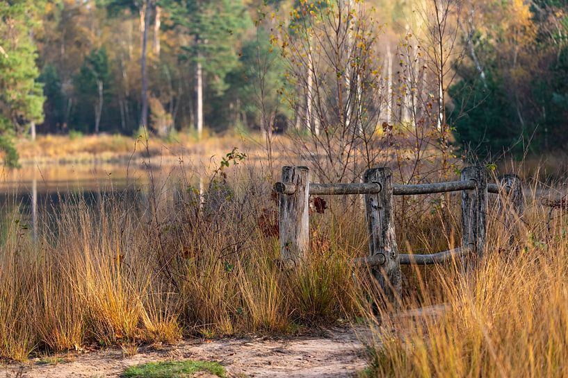 Pont le long de la van Esschenven. Profiter de la nature. par Els Oomis