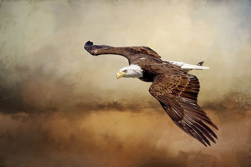 American Bald Eagle Flying Above Storm by Diana van Tankeren