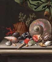 Nature morte avec des obus, C.F.D. Régime