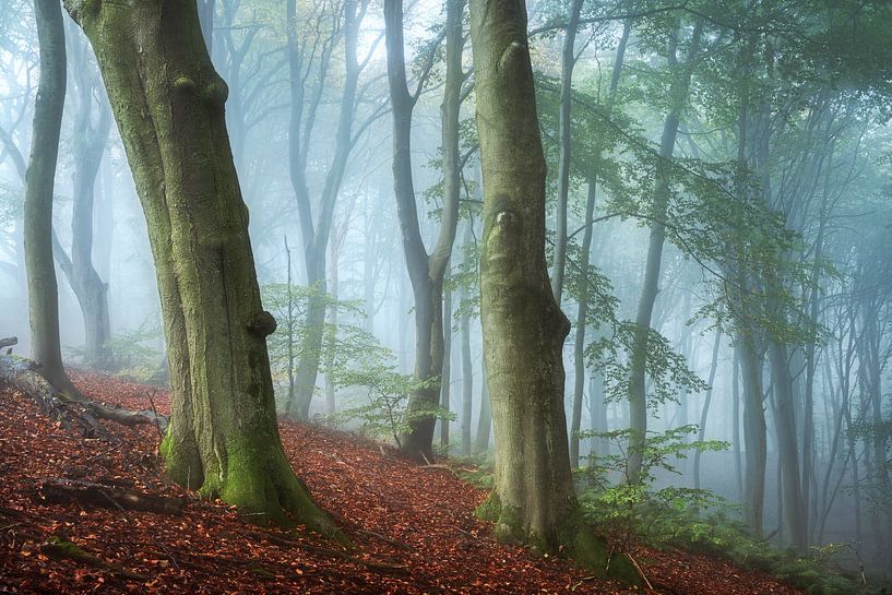 Gloire - la Seigneurie à Beek par Jeroen Lagerwerf