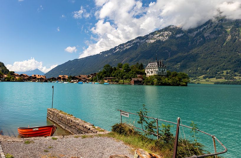Blick über den Iseltwald von Reinier Holster