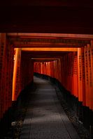 Rangée de portes Torri - Fushimi-Inari - Japon