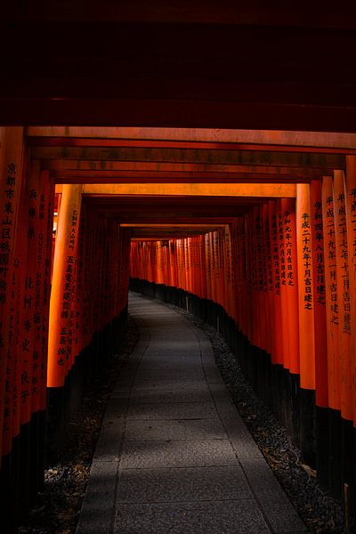 Rangée de portes Torri - Fushimi-Inari - Japon par Manon Sloetjes