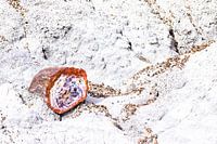 Bunter versteinertes Baumstamm