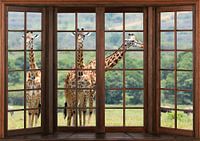 Blick aus einem Holzfenster