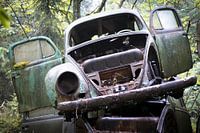 Volkswagen Kever, Beetle