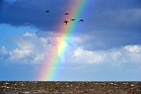 Rainbow over the Wadden Sea