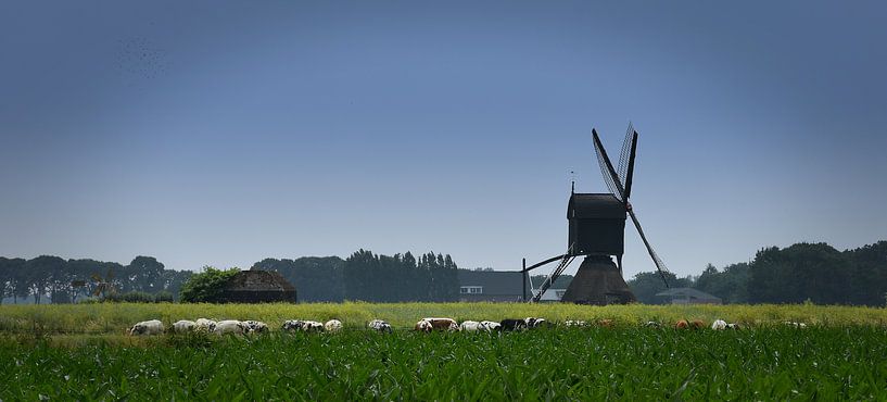 De Molen par Bert Seinstra