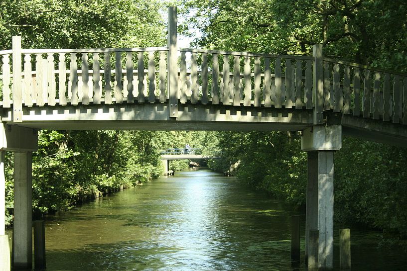 de Luts von Simone van der Heide