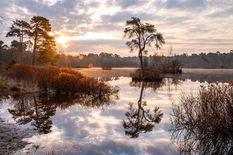 Lever de soleil Oisterwijkse Bossen en Vennen par Marco Schep