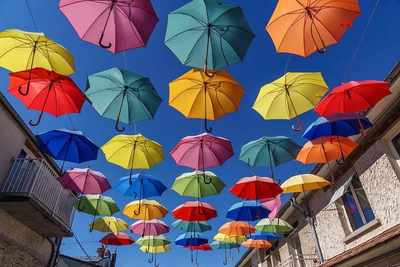 Colourful umbrellas as street decoration by Andrea Pijl - Pictures