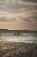 Zwischen Himmel und Erde