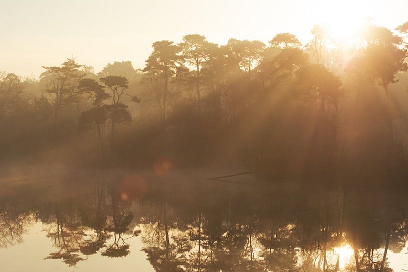 Voorste Goorven Oisterwijk II par Ronne Vinkx