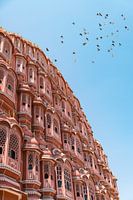 Überfliegende Tauben am Hawa Mahal in Jaipur Indien.