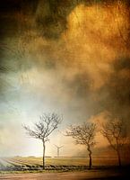 Arbres au champ de tulipes