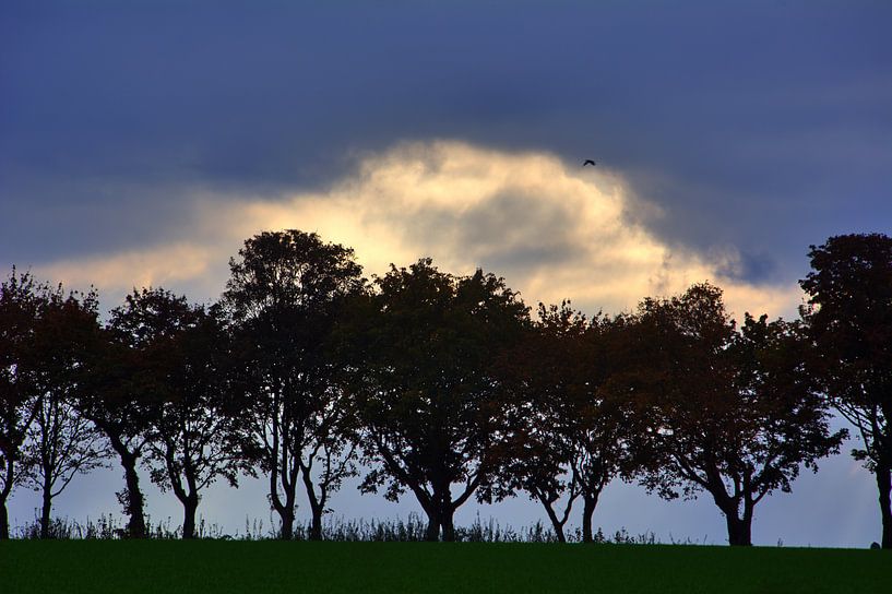 Avenue 1 par Edgar Schermaul