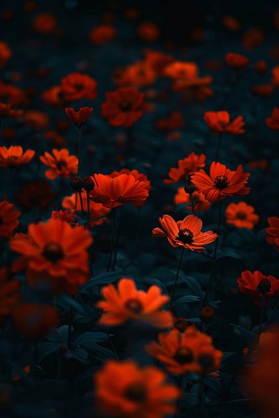 see-through by Imperial Art House