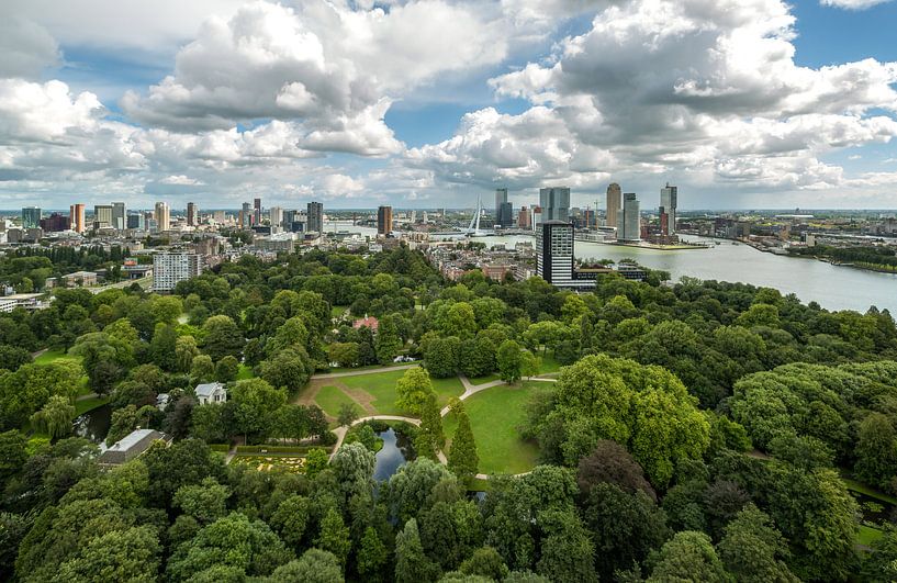 La ligne d'horizon de Rotterdam par MS Fotografie | Marc van der Stelt