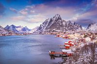 Lofoten Reine