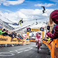 Tadej Pocagar mit den Skispringern 2