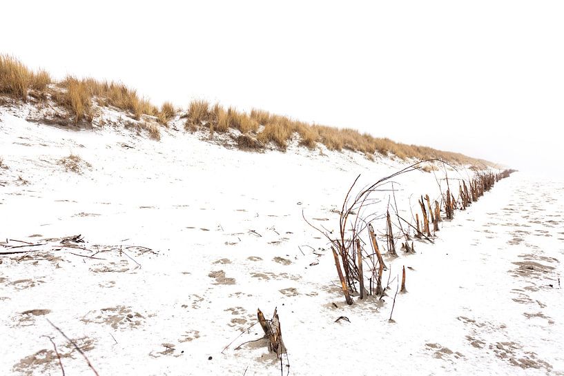 Les dunes d'Ameland dans la neige 02 par Everards Photography