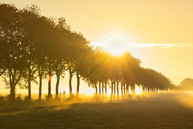 Cyclist in fog on Mendosideweg in Hensbroek by peterheinspictures