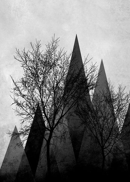 TREES VId von Pia Schneider