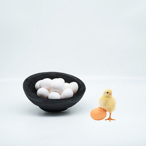 Humourous still life with eggs . Title Choices . by Saskia Dingemans Awarded Photographer