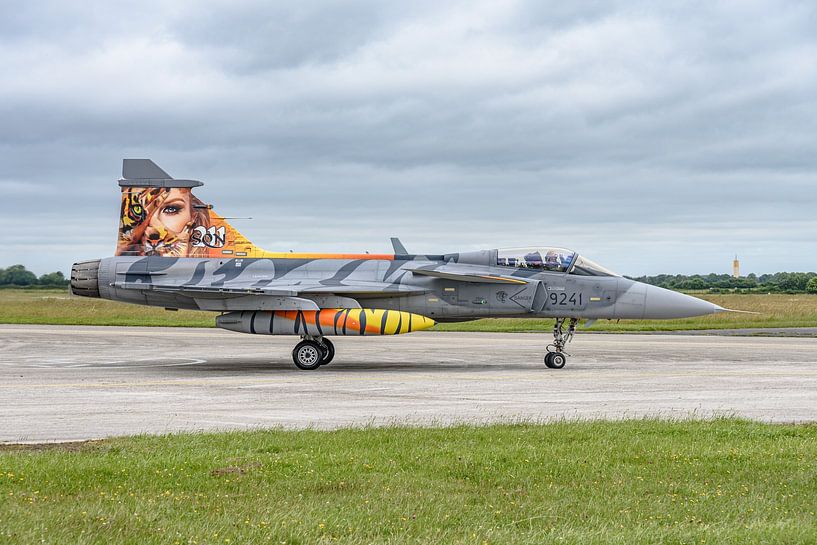 Der tschechische Saab JAS39 Gripen während der NTM 2017. von Jaap van den Berg