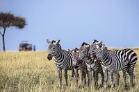 WER ZULETZT LACHT, LACHT AM BESTEN.