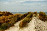 Dünen in der warmen Sonne