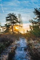 Sonnenaufgang in Buurse