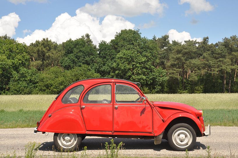 Citroën 2cv in de zon by Theo Joosten