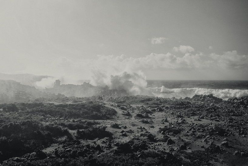 Mystic Coast von Jacqueline Lemmens