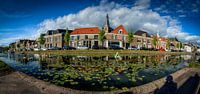 Oude gracht Weesp panorama waterlelies