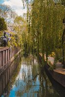 Der schmale Minusstrom