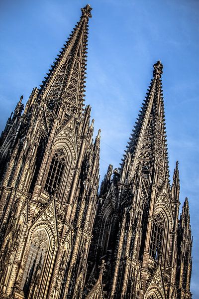 dumm in Köln von Eric van Nieuwland