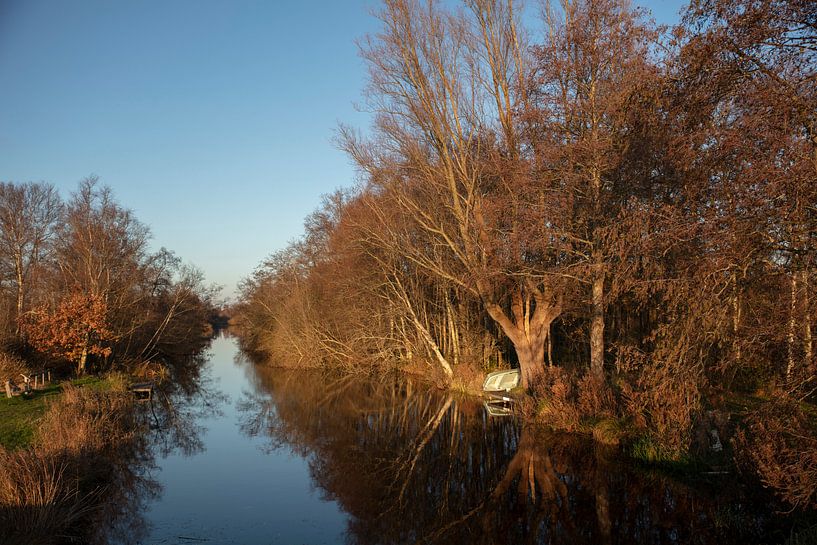 Frisia les tibias par anne droogsma