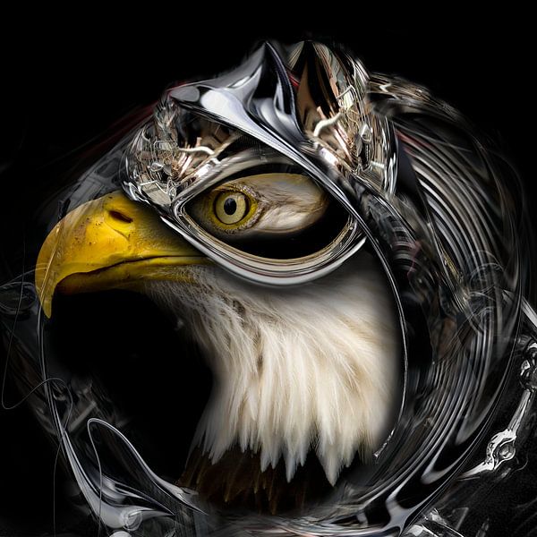 Der Adler der Zukunft von Rudi Lippi