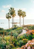 Floraison au bord de la mer